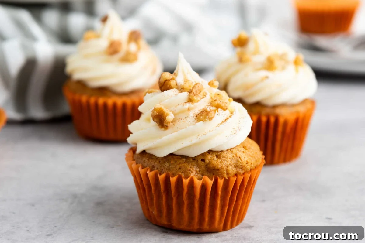 Rustic Carrot Cake Cupcakes 2 The carrot cupcakes topped with swirls of cream cheese frosting and chopped walnuts.