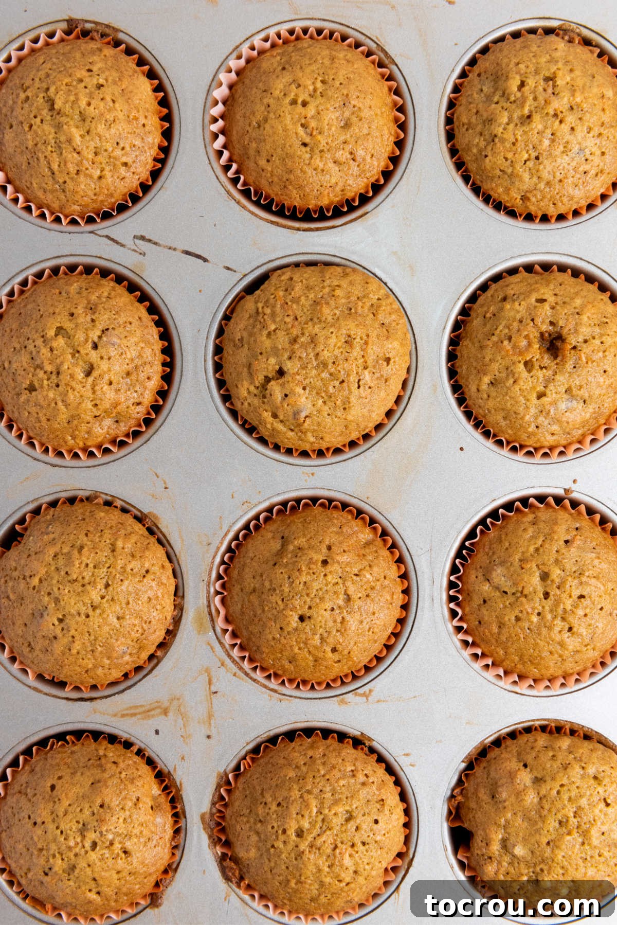 Rustic Carrot Cake Cupcakes 7 Freshly baked carrot cupcakes in pan, fresh from the oven.