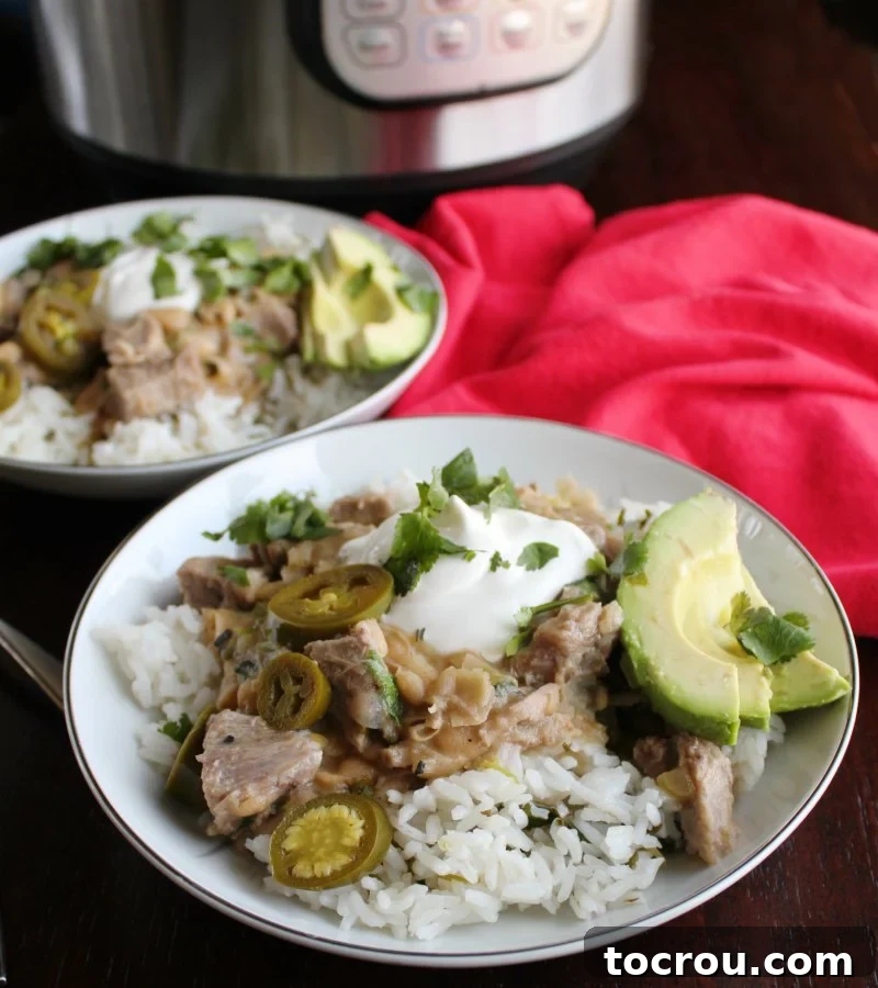 Zesty Instant Pot Salsa Verde Pork 2 Two vibrant burrito bowls showcasing tender salsa verde pork, topped with fresh sour cream, bright cilantro, and creamy avocado slices.