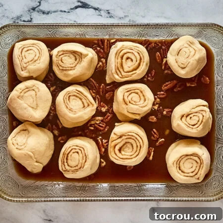Formed cinnamon roll dough over caramel sauce and pecans in glass baking dish.
