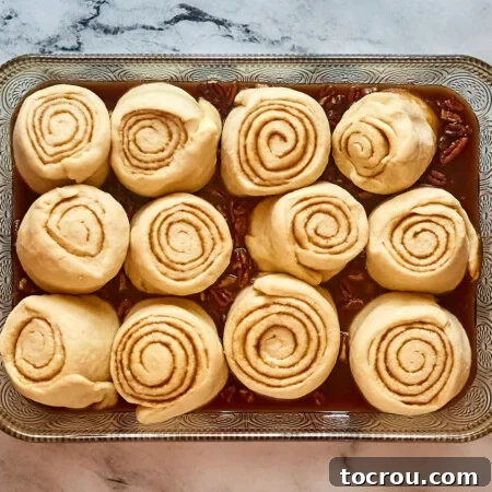 Proofed cinnamon rolls after they have puffed up and doubled in size in pan with layer of caramel and pecans, ready to go in the oven.