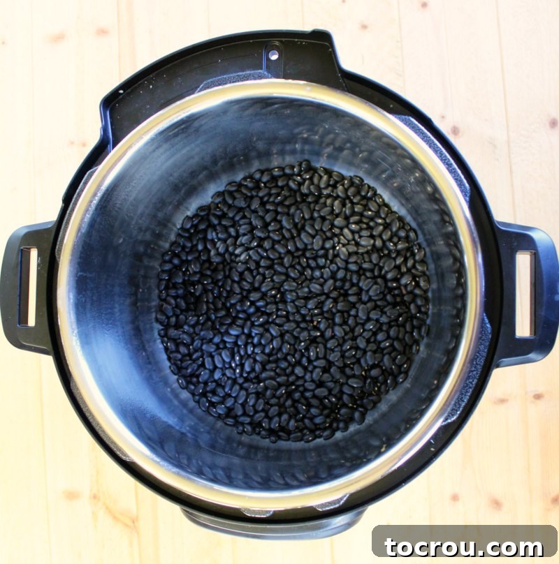 Dry black beans in the bottom of an instant pot.