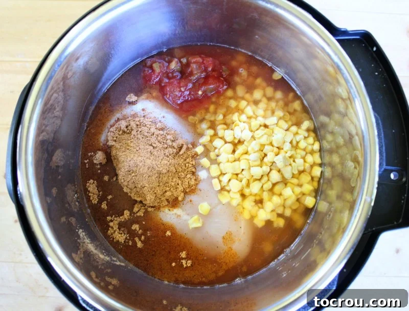 Chicken, salsa, corn and taco seasoning added to instant pot.