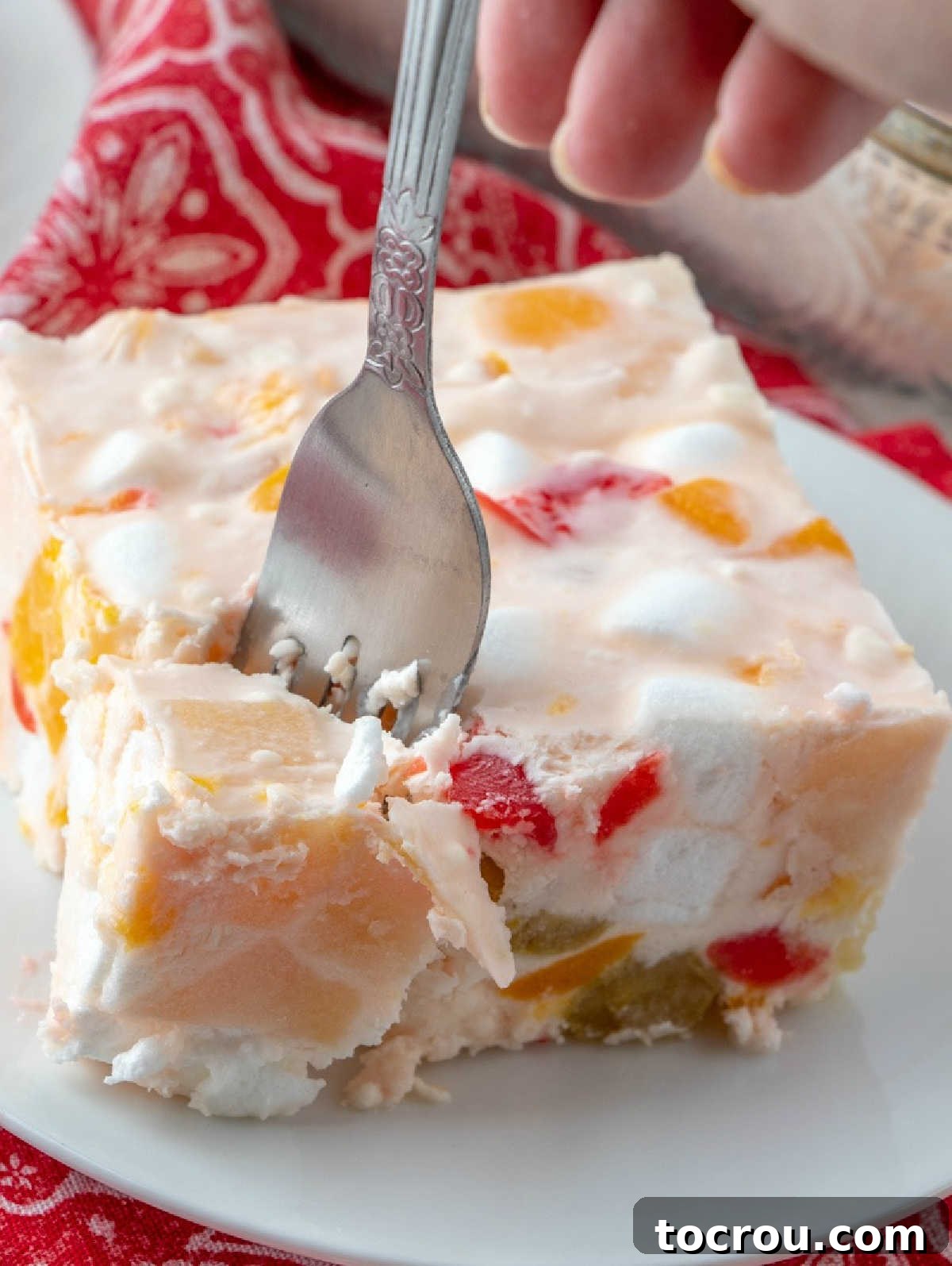 Another enticing view of a square piece of frozen fruit salad artfully arranged on a small plate, emphasizing its delightful texture and visual appeal.