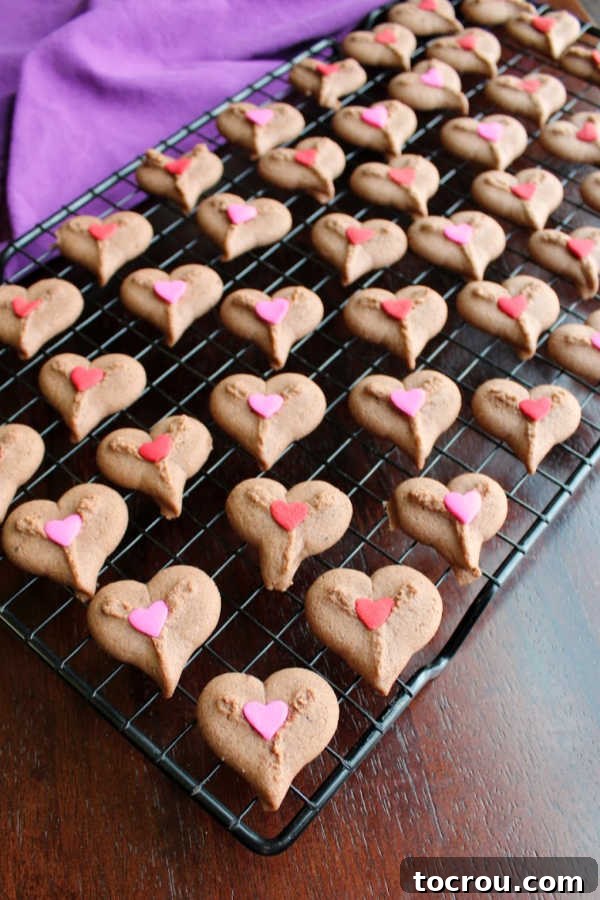 A wire cooling rack laden with freshly baked chocolate spritz heart cookies, glistening with various heart-shaped sprinkles.