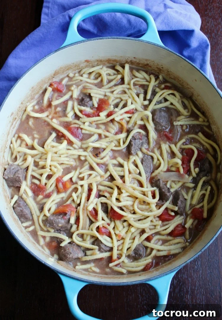 A Dutch oven brimming with luscious egg noodles and tender beef stewed in a rich tomato sauce, ready to serve.