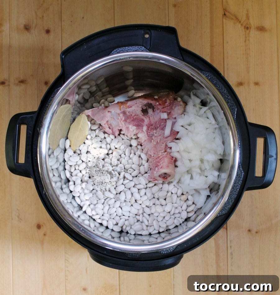 Instant pot filled with dry white beans, ham bone, onion, bay leaf etc.