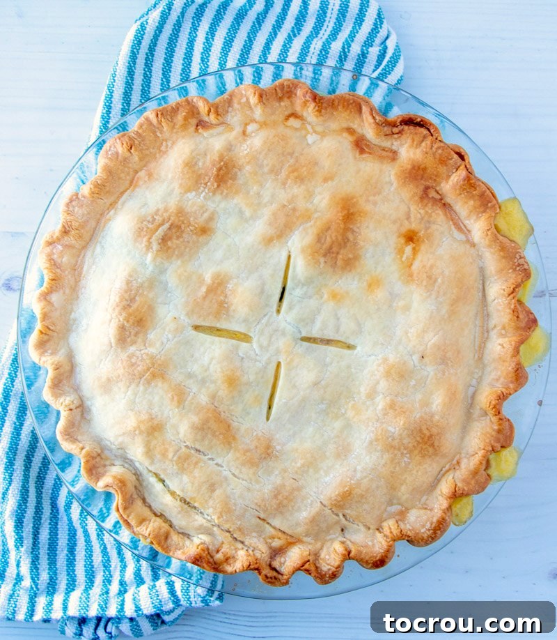 A whole, golden-brown creamy chicken pot pie, fresh from the oven and ready to be served.