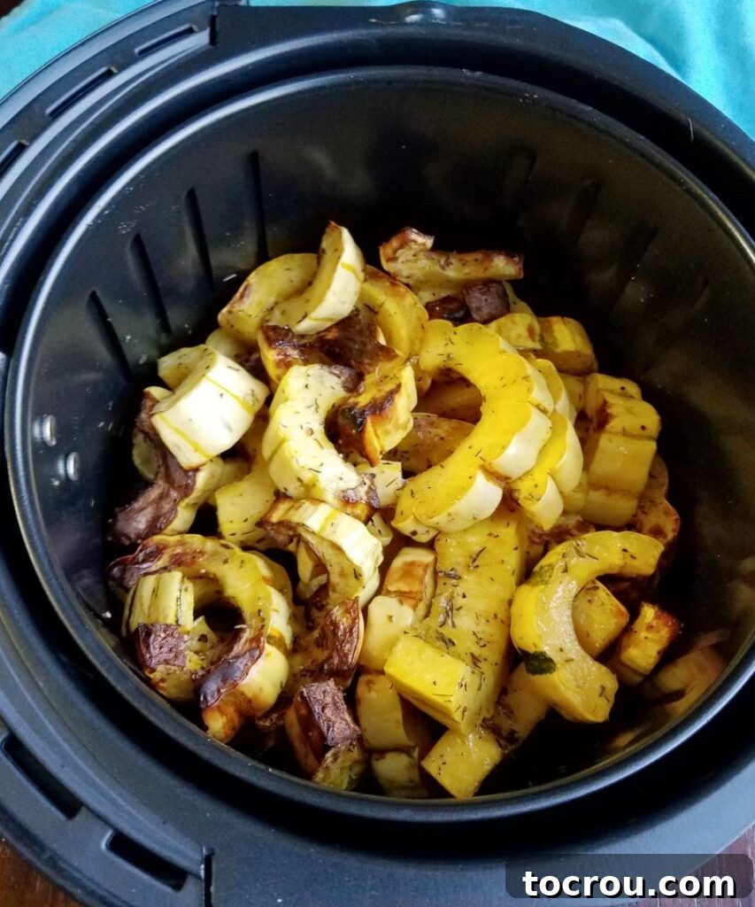 Crispy Parmesan Air-Fried Acorn Squash 5 slices of delicata squash roasted in air fryer in basket ready to eat.