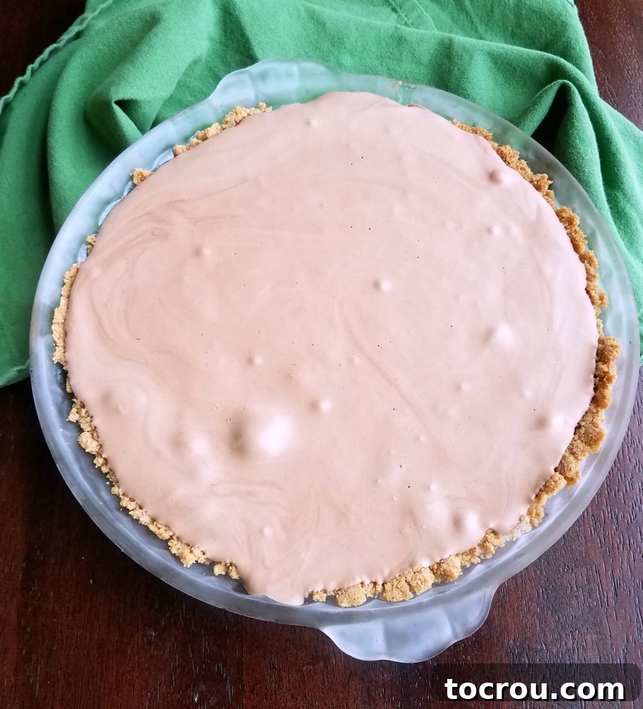 Frozen Mint Chocolate Pie Ready for Topping A pristine frozen mint chocolate pie with its rich, dark filling perfectly set in a golden crust, awaiting a final layer of fluffy whipped cream topping.