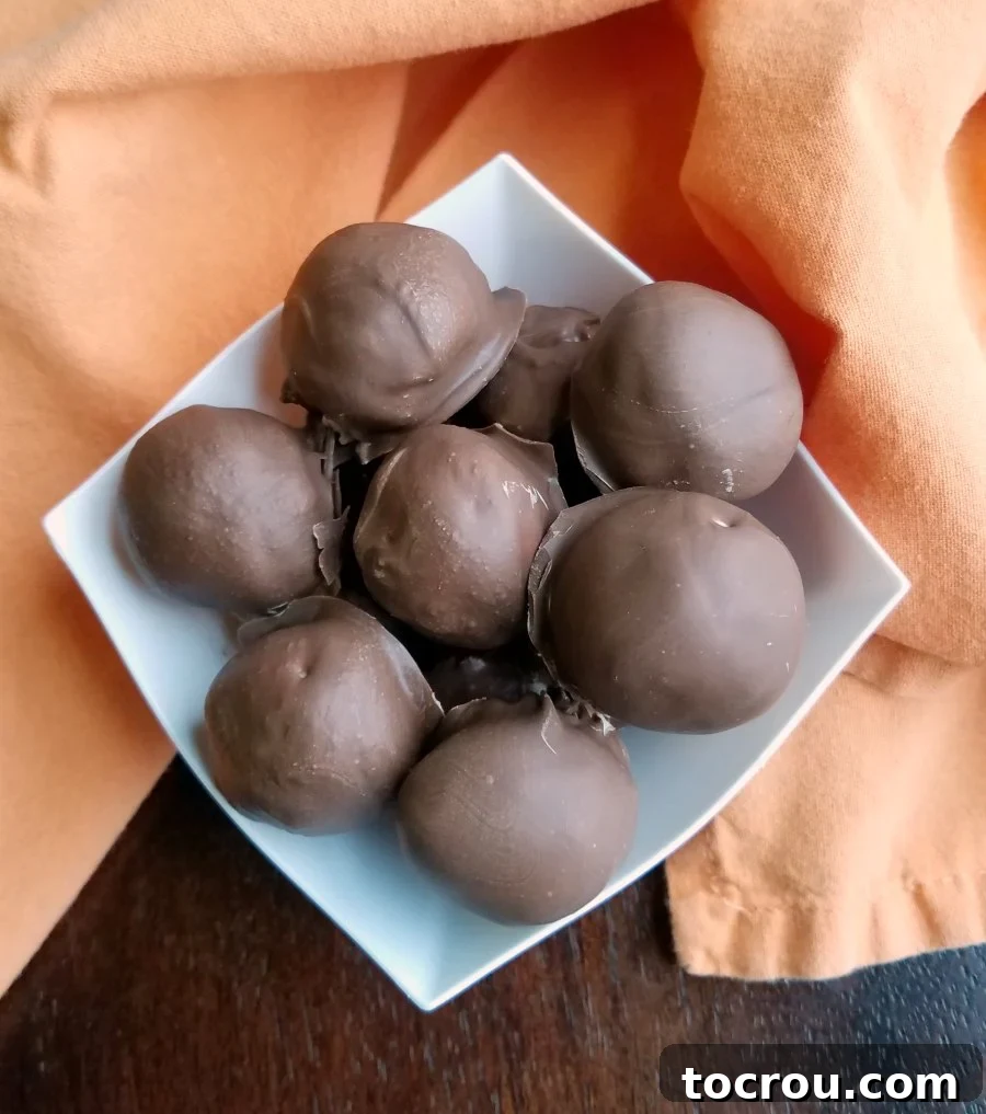 Finished Chocolate Coated Truffles A bowl filled with freshly chocolate-coated orange cheesecake truffles, glistening and ready to enjoy.
