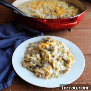 Plate piled with serving of creamy one pot hot dish showing cooked egg noodles, ground beef, and green beans in creamy sauce with a little melted cheese on top.