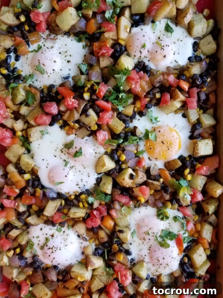 Sheet Pan Fiesta Breakfast 6 Eggs baked on sheet pan with diced vegetables, beans etc. Ready to serve.