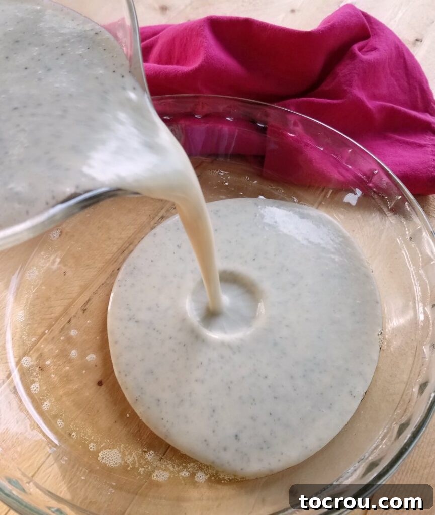 Enchanted Dragonfruit Pie 5 pouring batter into greased pie plate.