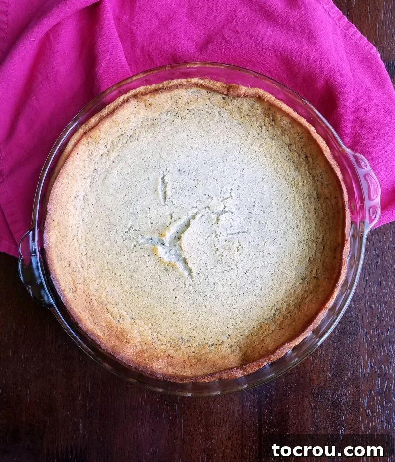 Enchanted Dragonfruit Pie 6 freshly baked impossible dragon fruit pie