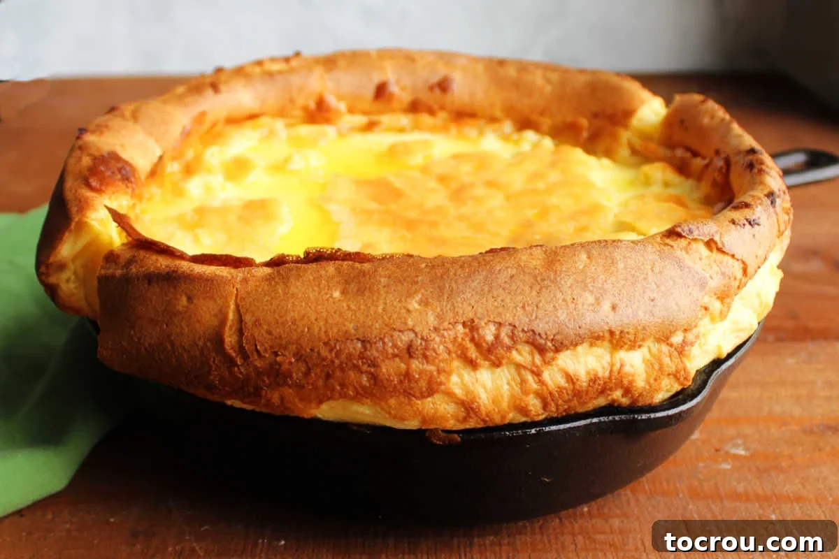 Mimi's Golden Custard Delight 2 Whole dutch baby pancake in cast iron pan with puffed up golden brown edges and lighter brown center that is much lower than the puffy edges.