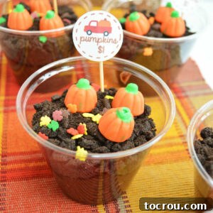 Small clear plastic cups filled with chocolate dirt pudding and topped with leaf sprinkles and pumpkin candies.