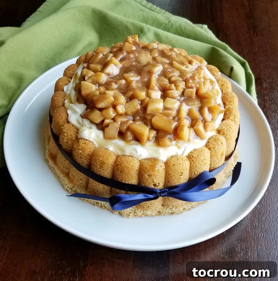 A beautifully decorated cinnamon Charlotte cake featuring fluffy cream cheese whipped cream and a generous topping of glistening caramel apples, all tied with an elegant blue ribbon.