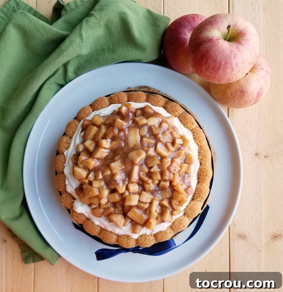 A stunning overhead view of the whole cinnamon sponge Charlotte cake, generously adorned with a fluffy whipped cream cheese filling and an abundance of sweet, spiced caramel apples.