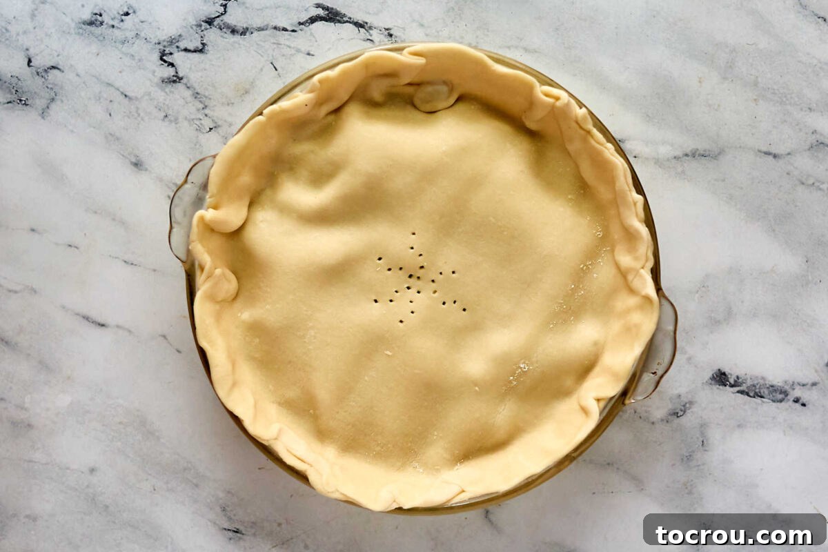 Sweet and Tart Cherry Rhubarb Pie 7 Pie plate after the top crust has been fitted on top and crimped around the edges with some vent holes, ready to go in the oven.