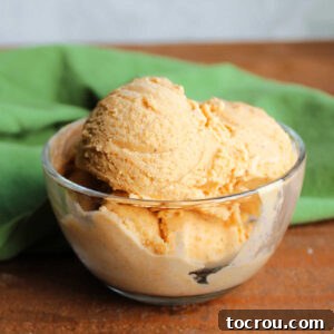 Small glass bowl of homemade pumpkin ice cream with smooth texture and dots of cinnamon and spices inside.
