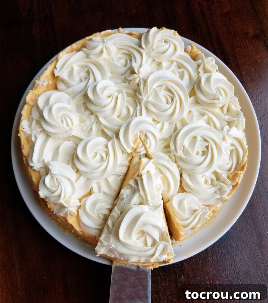 Dreamy No-Bake Pumpkin Cheesecake 6 A hand lifting the first perfect slice of pumpkin no-bake cheesecake from the pan.