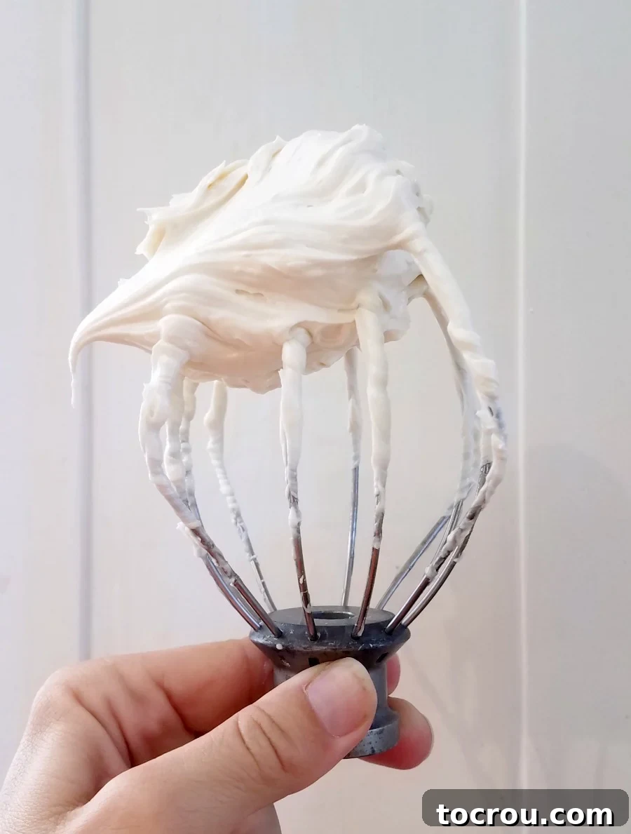 Perfectly Whipped Frosting Mixer whisk held upside down, showcasing a perfect swirl of white whipped sweetened condensed milk frosting, illustrating its ideal texture.