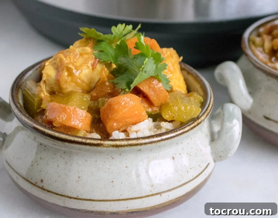 Instant Pot chicken curry and vegetables served over rice in bowl.