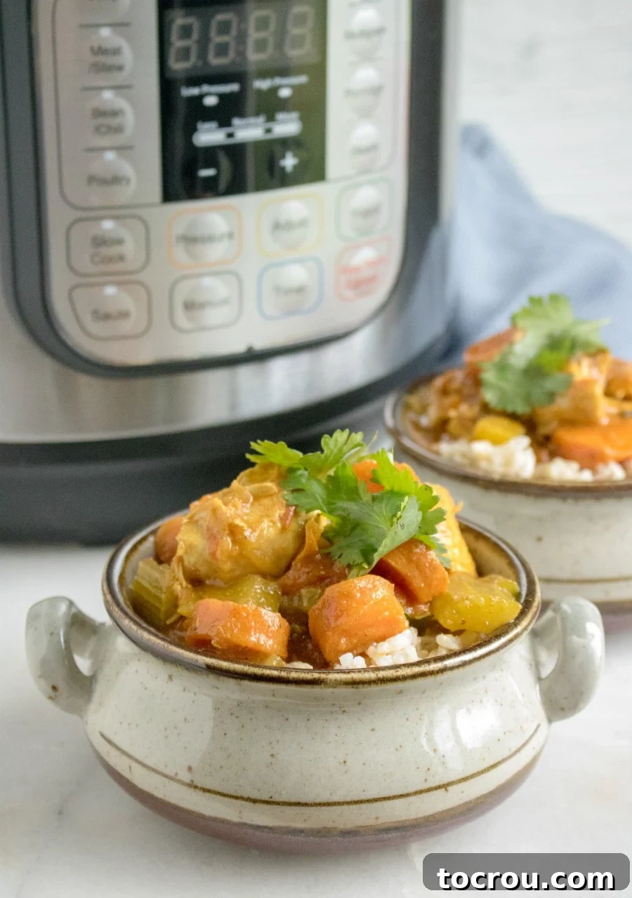 served chicken and veggie curry in front of pressure cooker.