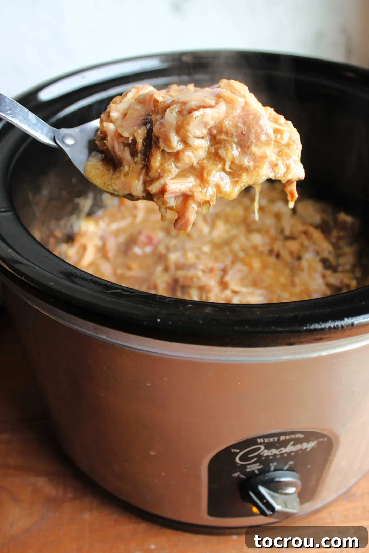 Perfectly pulled pork enveloped in a rich, thickened apple cider gravy, ready to be served and enjoyed.