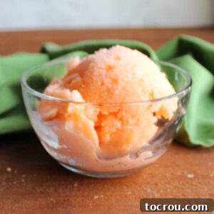 Small glass bowl with a scoop of frozen orange soda sherbet inside.