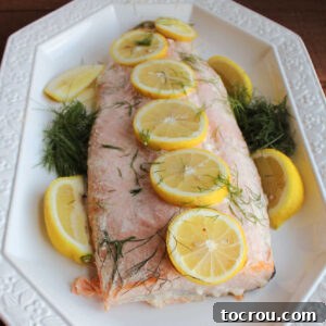 A beautifully presented platter featuring a large slab of succulent salmon, garnished with vibrant fresh lemon slices and delicate dill fronds.
