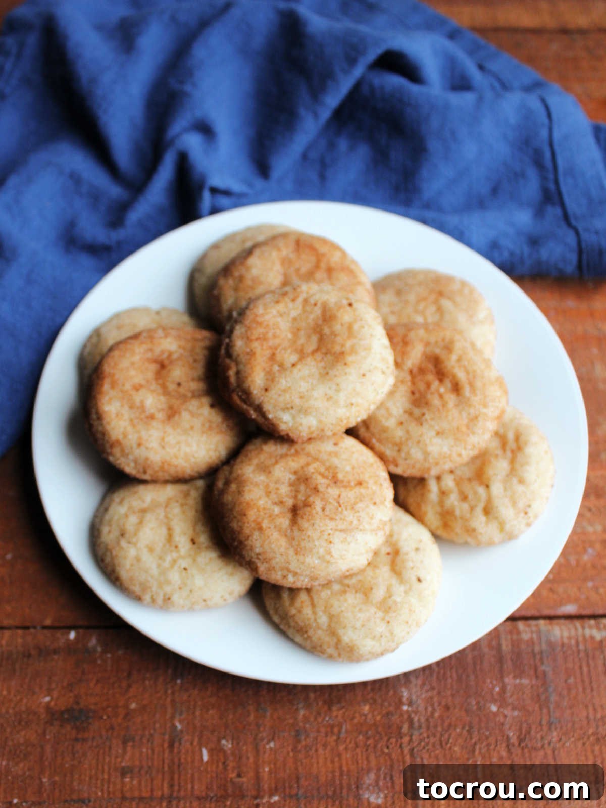 Heirloom Tea Cakes 4 A plate showcasing several tea cakes that were artfully rolled in a cinnamon sugar mixture before baking, giving them a delightful appearance reminiscent of classic snickerdoodle cookies.