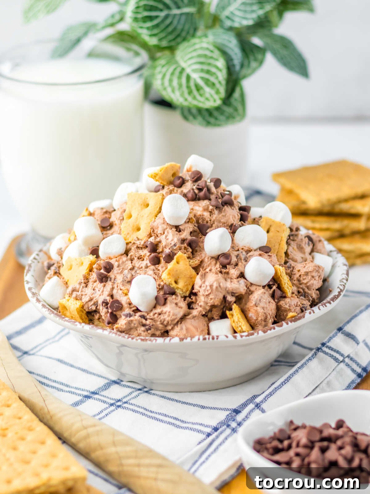 Smores Cloud 7 Side view of a bowl of s'mores fluff showing how it has thickened in the fridge and holds it shape.