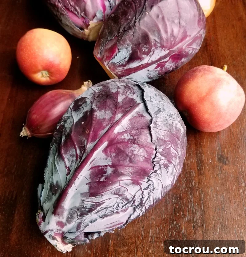 Heads of red cabbage, apples, and onions ready for preparation. Fresh red cabbage heads, crisp apples, and a red onion, essential ingredients for braised red cabbage.