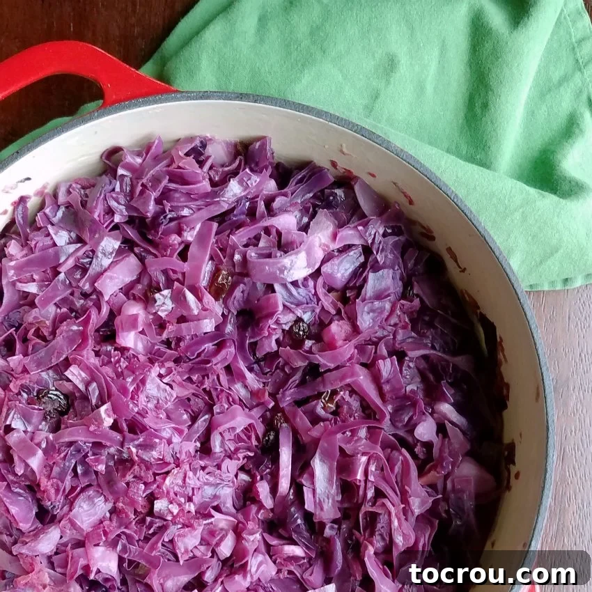 Red cabbage braising in a Dutch oven. Braised red cabbage simmering gently in a Dutch oven, its vibrant color developing.