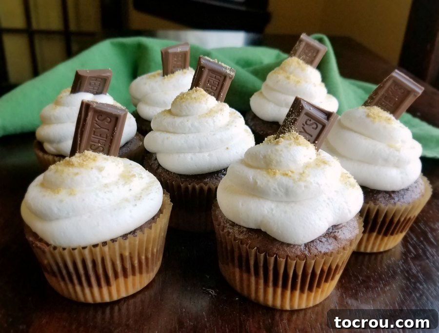 Toasted Marshmallow S'mores Cupcakes 9 bunch of s'mores cupcakes with graham cracker crusts, chocolate cupcakes and toasted marshmallow frosting ready to eat.