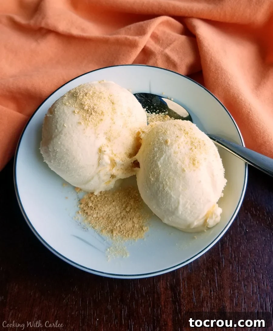 Close-up of a bowl featuring two generous scoops of homemade orange ice cream, garnished with graham cracker crumbs.