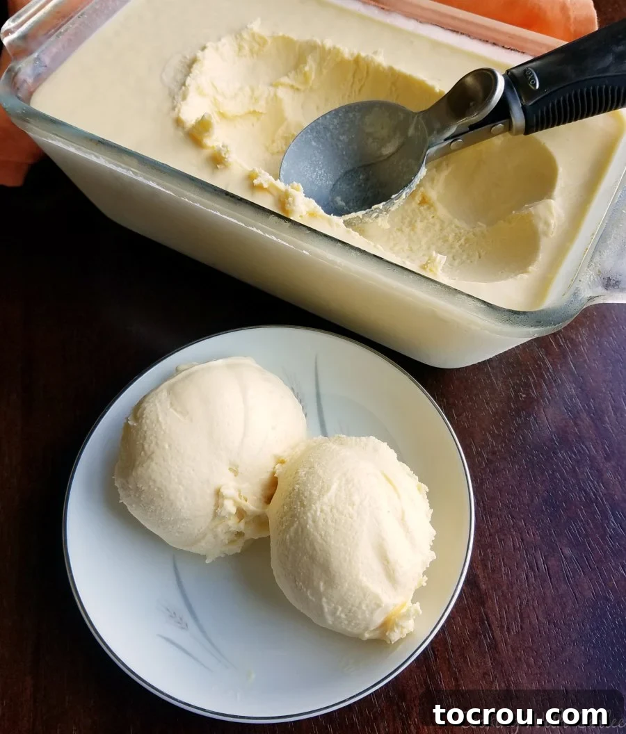A small bowl holding two scoops of creamy orange ice cream, with a glass loaf pan filled with more ice cream visible in the background.