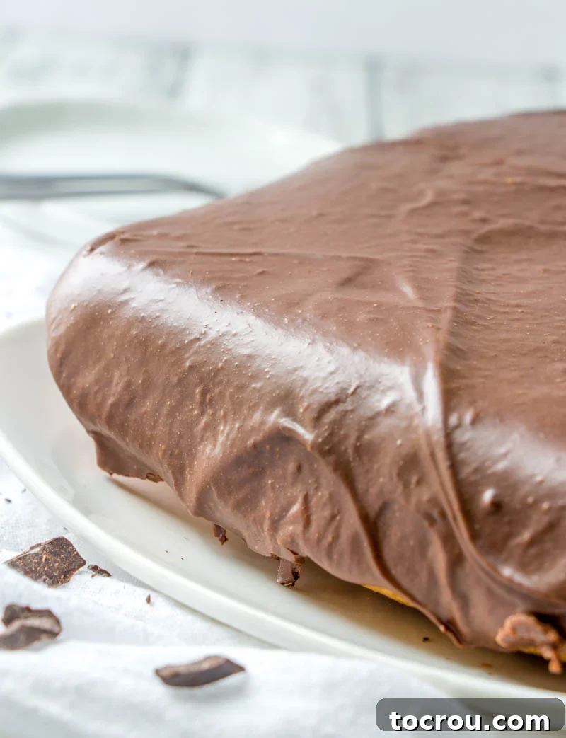 Decadent Fudge Frosting on Farmer's Daughter Cake Close up of the rich, fudgy frosting on top of a square Farmer's Daughter Cake, showing its smooth texture.