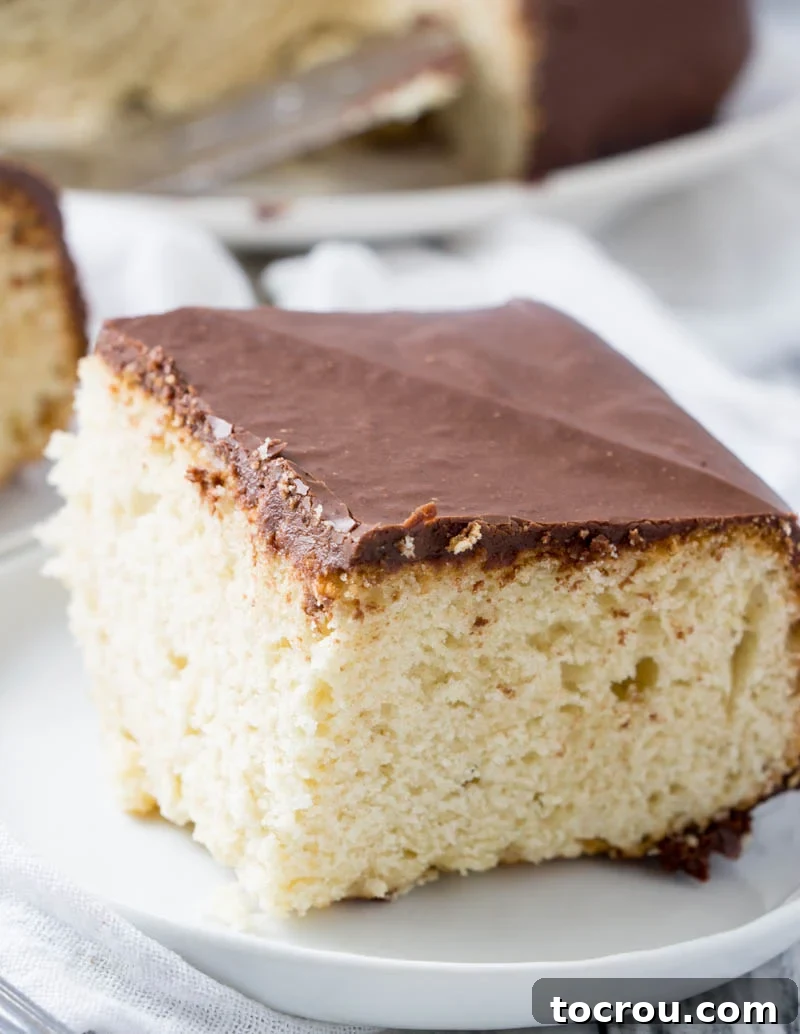 This cake is simple but really good. The cake has no butter or oil in it, just cream. Perhaps it was a dairy farmer's daughter who created it! The fudge frosting is a great pour over frosting that tops it off just right. It's smaller size and tasty combination is sure to work its way into your heart. Close up of a slice of simple cake with chocolate icing, showing the distinct layers.