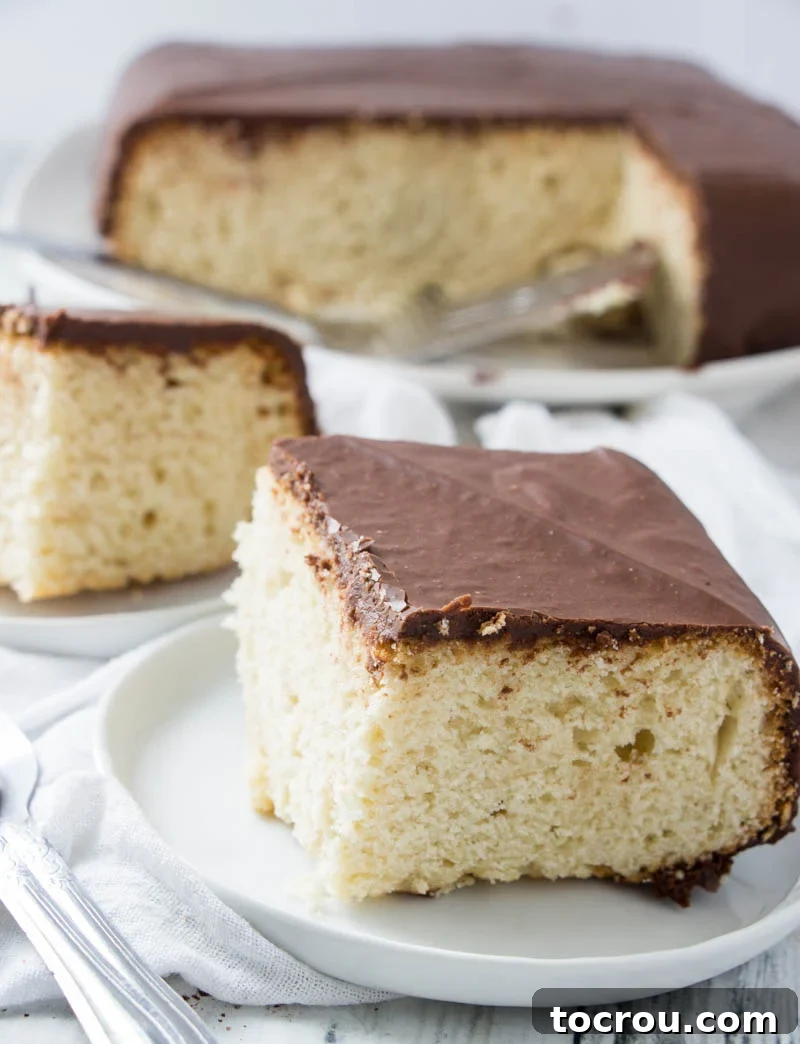 Ready-to-Serve Farmer's Daughter Cake Slices Slices of Farmer's Daughter Cake with fudge frosting neatly arranged and ready to be served.