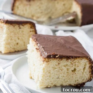 Close up of a piece of vanilla cake coated in chocolate icing, showcasing the texture.
