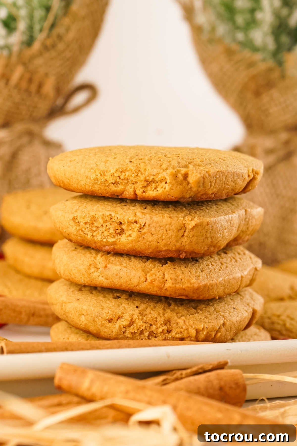 Stack of gingersnap cookies showing slightly puffed texture.