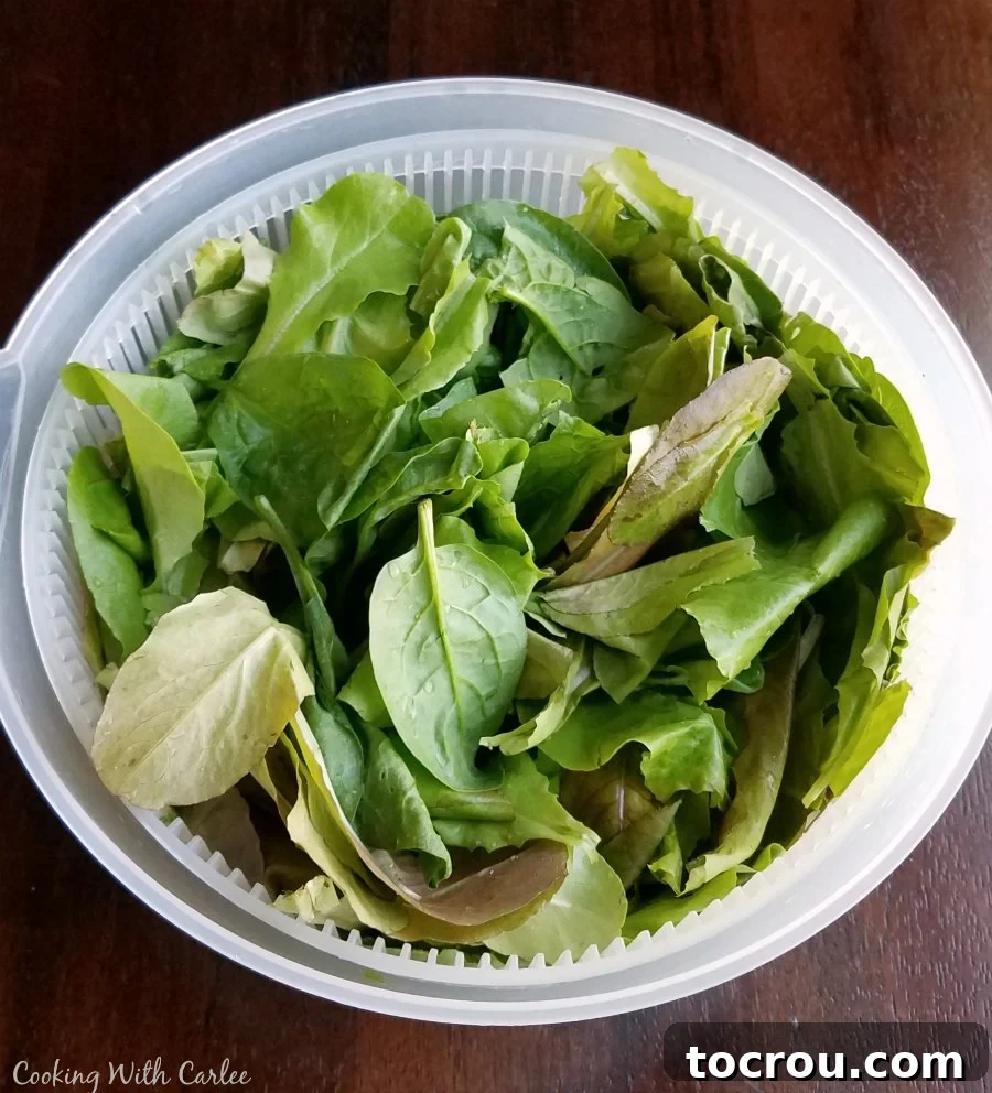 Freshly washed leaf lettuce shown inside a salad spinner, ready to be dried for the salad preparation.