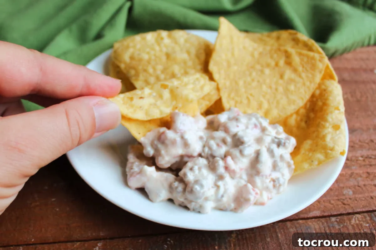 Hand holding a tortilla chip getting some creamy sausage rotel dip to eat.