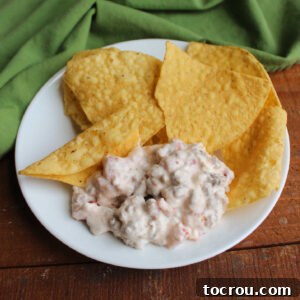 Plate of creamy rotel dip with sausage served with tortilla chips on plate.