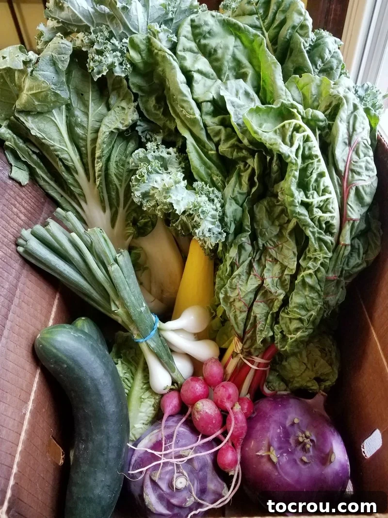 Fresh CSA Box Vegetables A bountiful CSA box overflowing with fresh, organic produce including vibrant green kale, crisp cucumbers, colorful radishes, various squash, and kohlrabi, showcasing seasonal harvests.