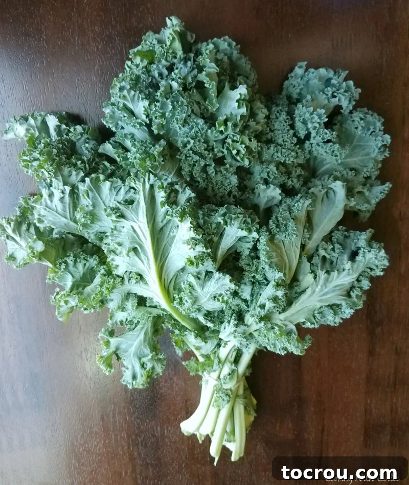 Curly Kale Bunch A close-up shot of a fresh bunch of curly kale, vibrant green and ready for preparation, highlighting its healthy leaves.