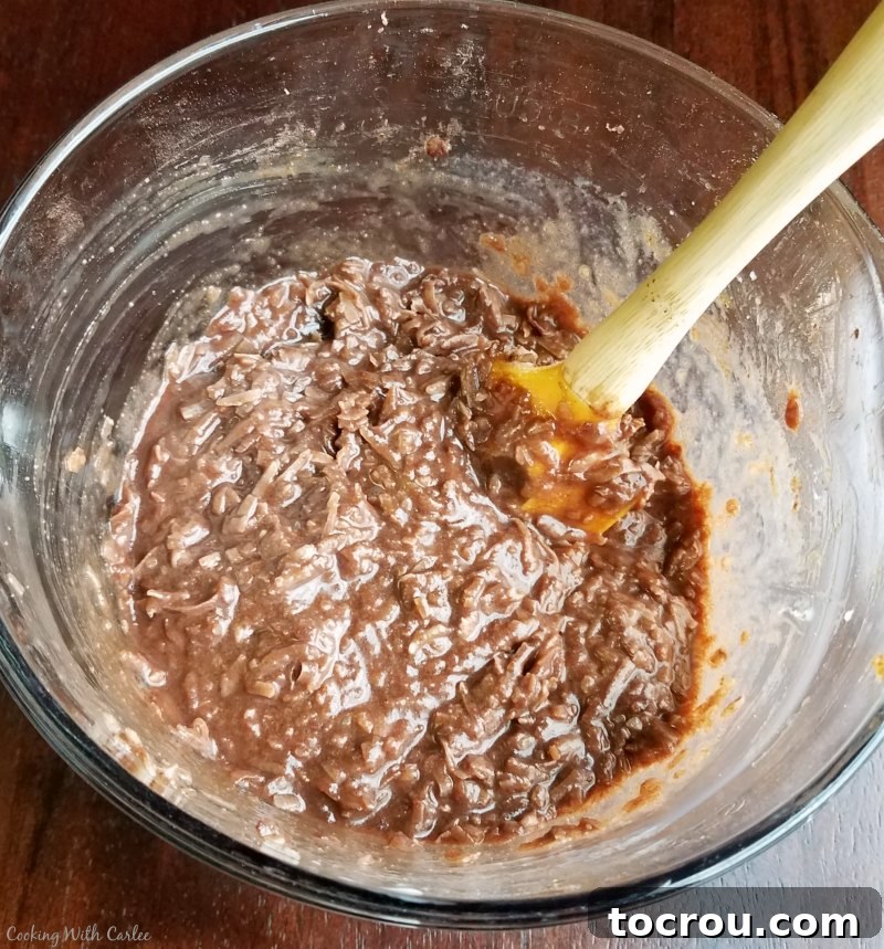 Mixing bowl showcasing the luscious chocolate coconut batter during preparation.